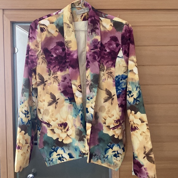 New Spring/Fall Jacket - Picture 4 of 4